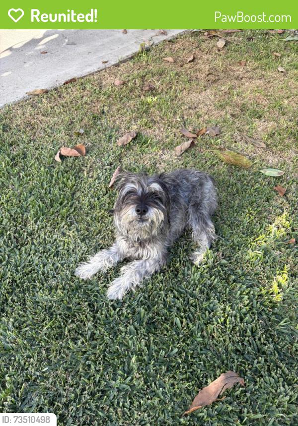 Reunited Male Dog last seen Lambert rd, La Habra, CA 90631