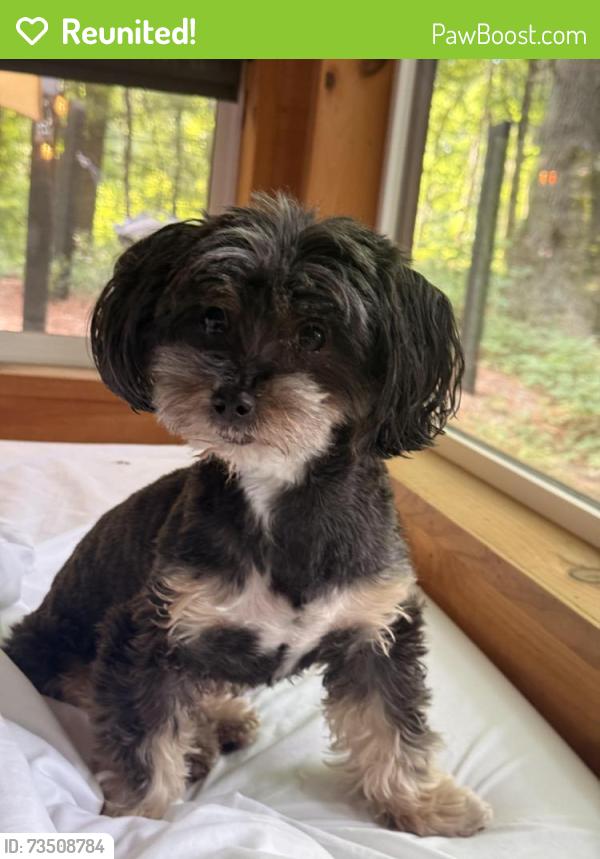 Reunited Male Dog last seen Near Ralph Ave, Brooklyn, NY 11236, USA, Brooklyn, NY 11236