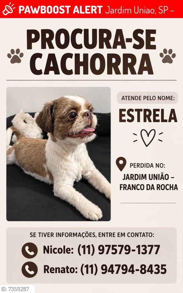 Lost Female Dog last seen Árvore perto do portão preto em frente a um poste de energia, Jardim Uniao, SP 07840-260