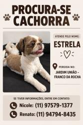 Lost Female Dog last seen Árvore perto do portão preto em frente a um poste de energia, Jardim Uniao, SP 07840-260