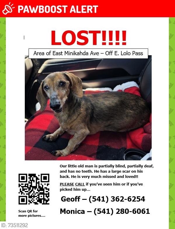 Lost Male Dog last seen East Minikahda Ave / East Lolo Pass Rd, Mount Hood Village, OR 97049