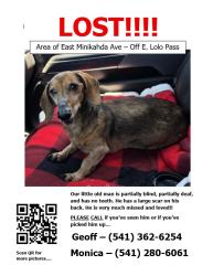 Lost Male Dog last seen East Minikahda Ave / East Lolo Pass Rd, Mount Hood Village, OR 97049