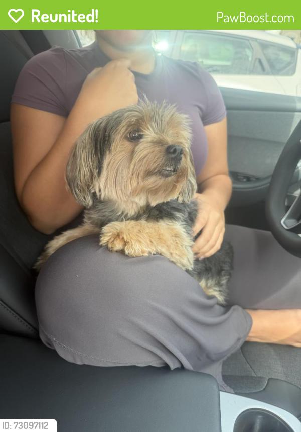 Reunited Female Dog last seen Seascape community, Homestead, FL 33030