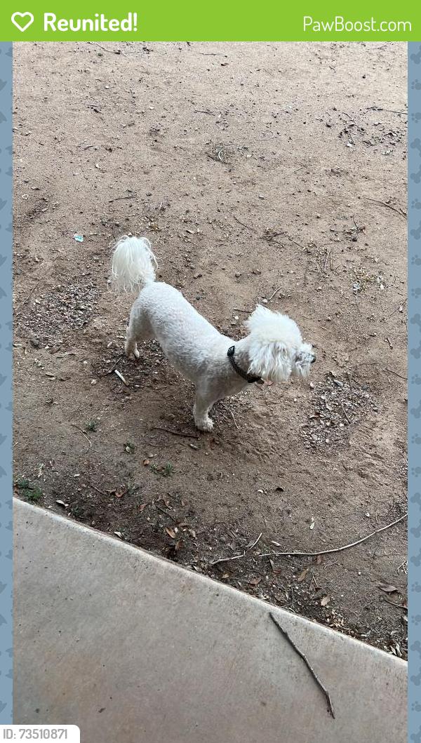 Reunited Male Dog last seen W Rancho Dr, Glendale, AZ 85340, USA, Maricopa County, AZ 85340