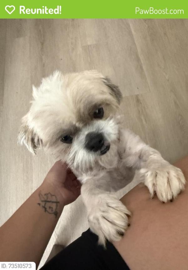 Reunited Female Dog last seen S 99th Ave & W Broadway Rd, Phoenix, AZ 85353, USA, Phoenix, AZ 85353