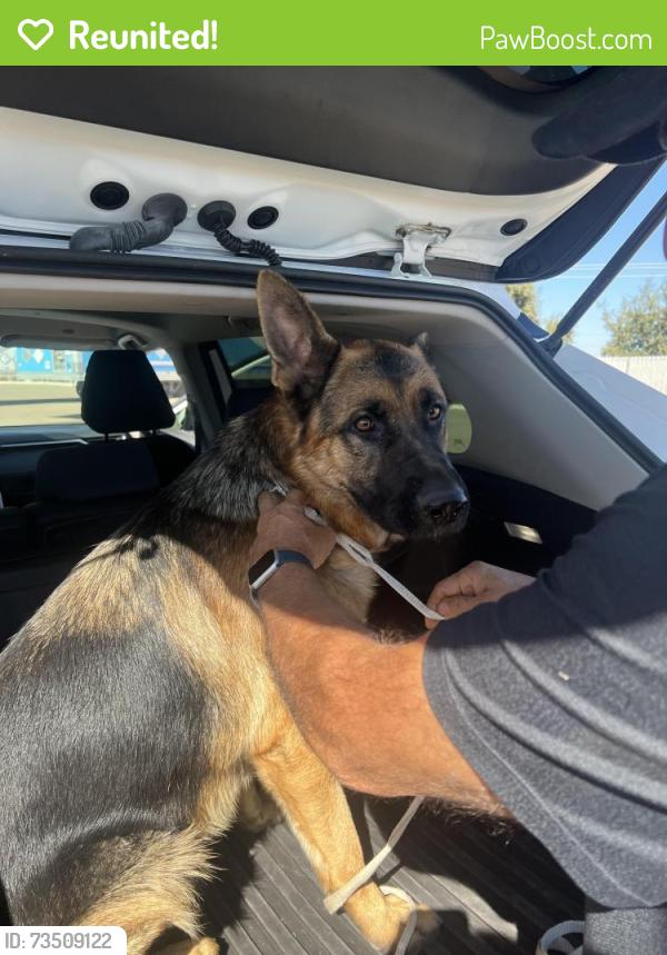 Reunited Male Dog last seen S airport way and French Camp Rd, Manteca, CA 95336