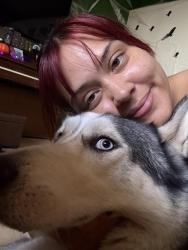 Reunited Male Dog last seen 83rd Ave and McDowell rd, Phoenix, AZ 85037