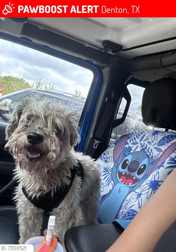 Lost Male Dog last seen Near bent Spur dr. Denton tx 76207, Denton, TX 76207
