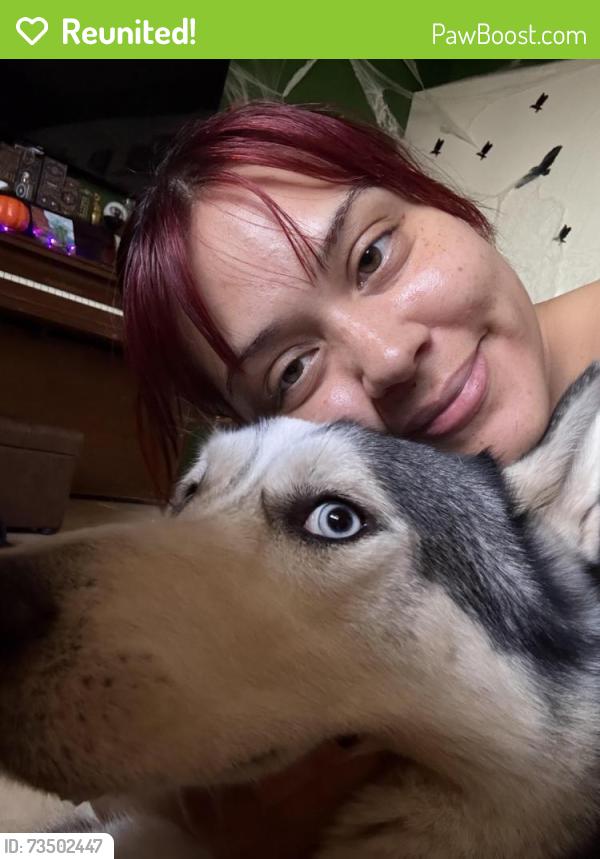 Reunited Male Dog last seen 83rd Ave and McDowell rd, Phoenix, AZ 85037