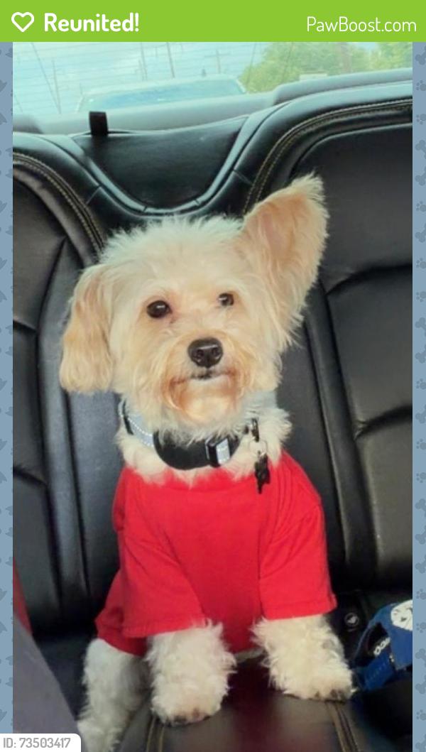 Reunited Male Dog last seen Sw 57th st 73119, Oklahoma City, OK 73119