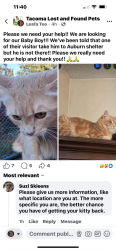 Lost Male Cat last seen Near Avenue East, Tacoma, WA, USA, Clover Creek, WA 98445