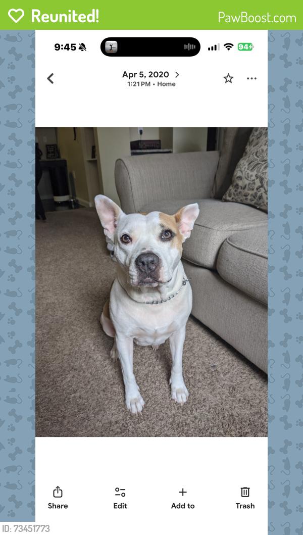 Reunited Female Dog last seen Near pampaneria dr, Conroe Texas, Conroe, TX 77301