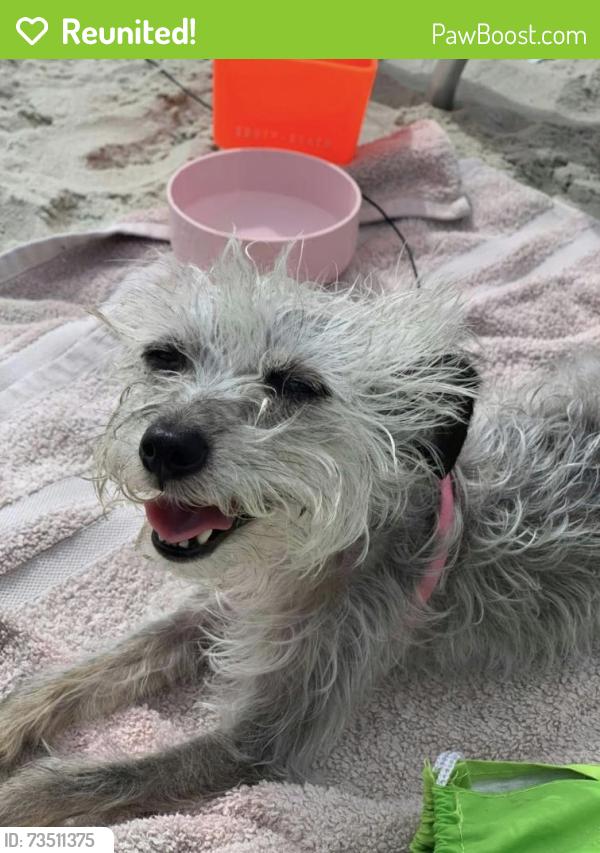 Reunited Female Dog last seen Hwy 21 & Cornelius Road, Mooresville, NC 28117