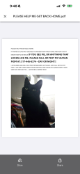 Lost Female Cat last seen 75th and Hague, Indianapolis, IN 46256