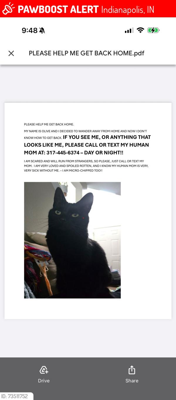 Lost Female Cat last seen 75th and Hague, Indianapolis, IN 46256