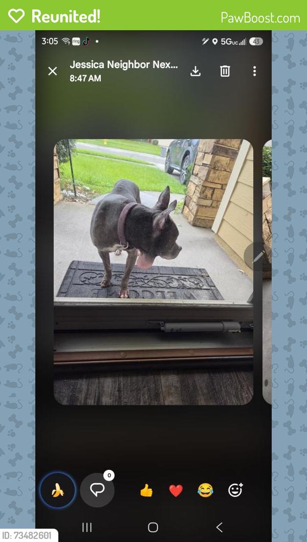 Reunited Female Dog last seen at ACPS 2020 forest st, Jacksonville, FL 32204