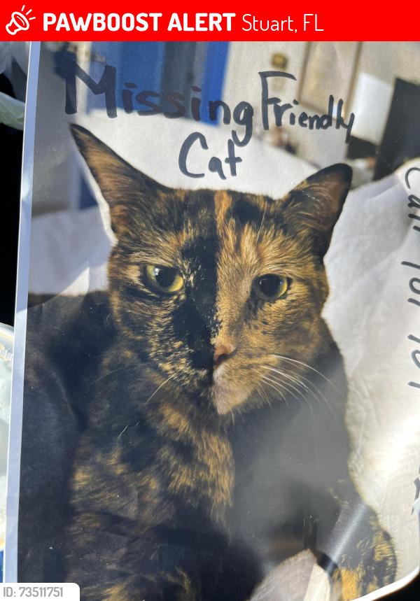 Lost Female Cat last seen US1 and Fork rd, Stuart, FL 34994