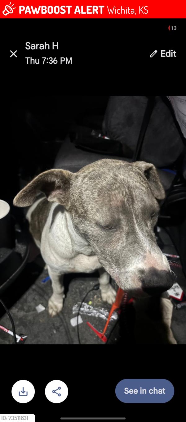 Lost Male Dog last seen Oliver and douglas, Wichita, KS 67220