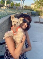 Lost Male Dog last seen Near Butch Cassidy Lane, Henderson, NV 89002