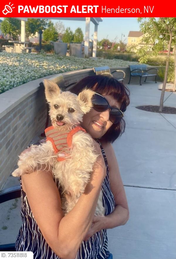 Lost Male Dog last seen Near Butch Cassidy Lane, Henderson, NV 89002