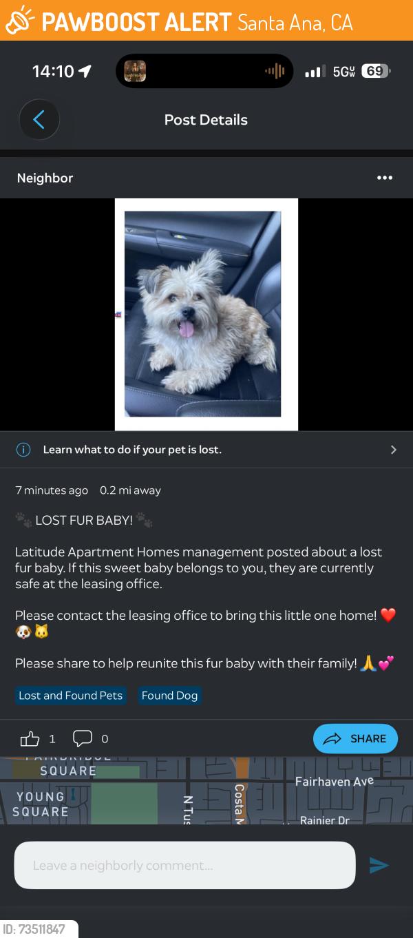 Found/Stray Unknown Dog last seen Latitude apmts, Santa Ana, CA 92705
