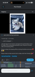 Found/Stray Unknown Dog last seen Latitude apmts, Santa Ana, CA 92705
