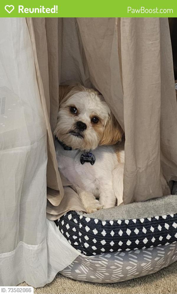 Reunited Male Dog last seen Harley Beth Drive and Mink Livsey Road in Snellville Georgia, Gwinnett County, GA 30039