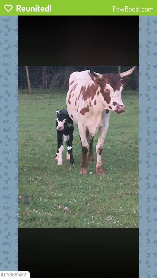Reunited Female Other last seen US 220 Bus, Stoneville, NC 27048