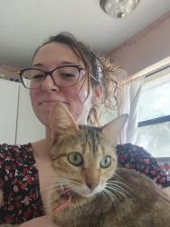Lost Female Cat last seen Wright Wood Ln and Sharon Ln, not far from Cedar Lane Loop, Willis, TX 77378
