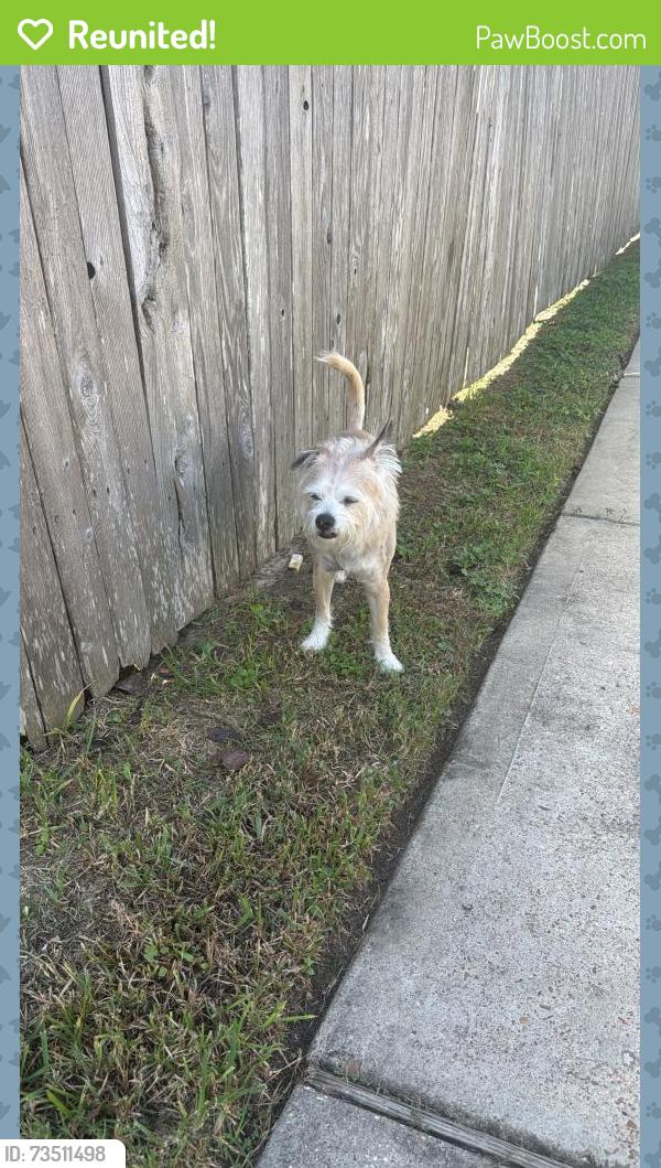 Reunited Male Dog last seen Path wat ct, Harris County, TX 77449