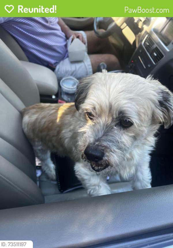 Reunited Male Dog last seen SW Walker Road, Beaverton, OR 97225