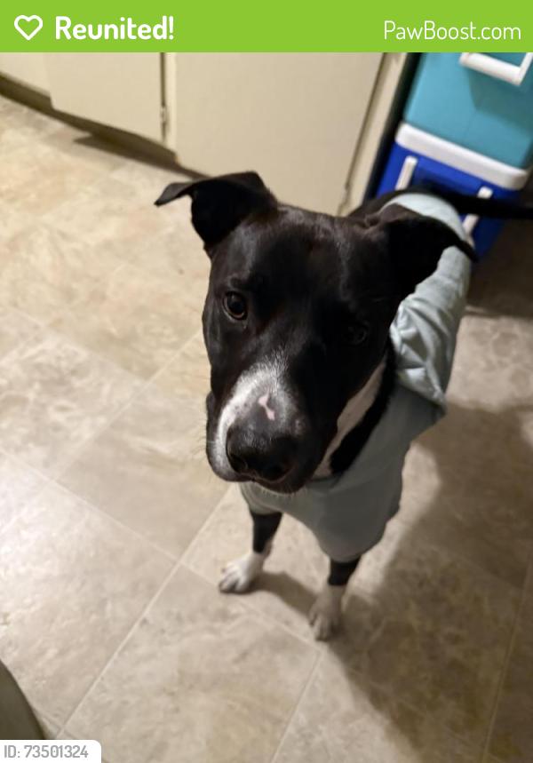 Reunited Male Dog last seen Santee Elementary, San Jose, CA 95122