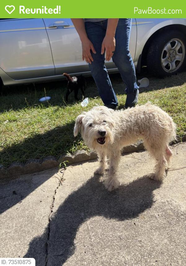 Reunited Female Dog last seen Near hope mills road (surrounding neighborhood’s), Fayetteville, NC 28304