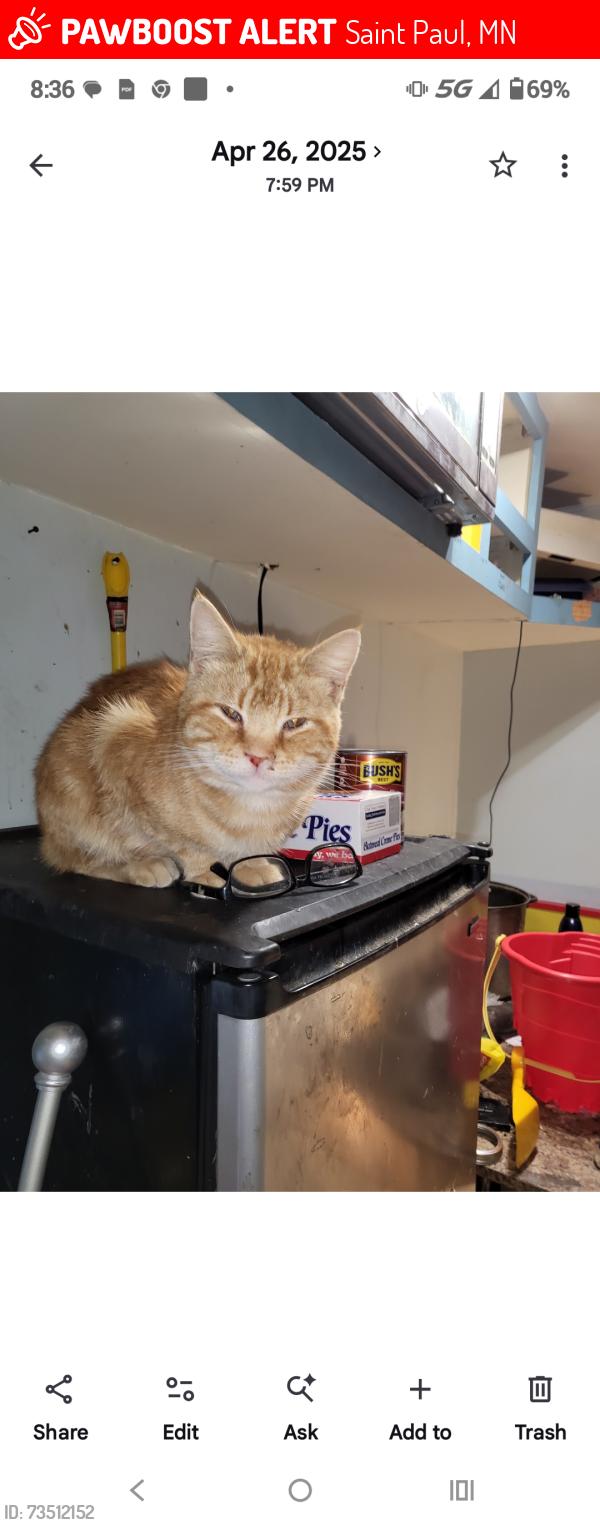 Lost Male Cat last seen Not sure where he was dropped off or kicked out, Saint Paul, MN 55101