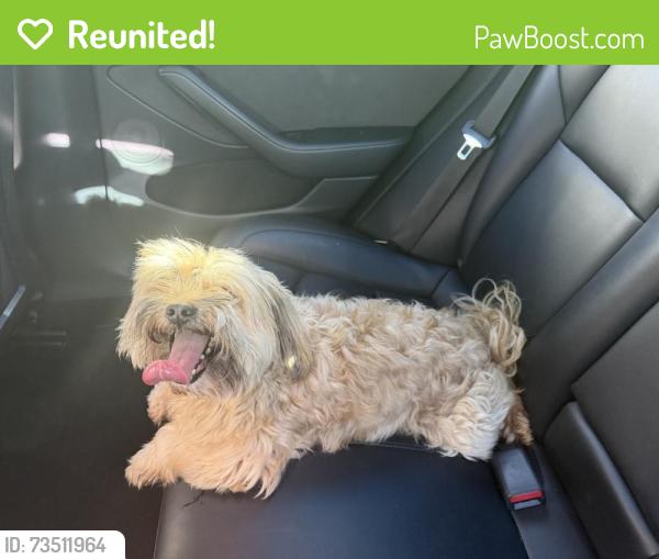 Reunited Male Dog last seen Cypress road, Plantation, FL 33317