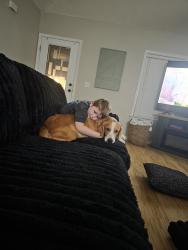 Reunited Male Dog last seen Sandy springs rd, Bonaire, GA 31005