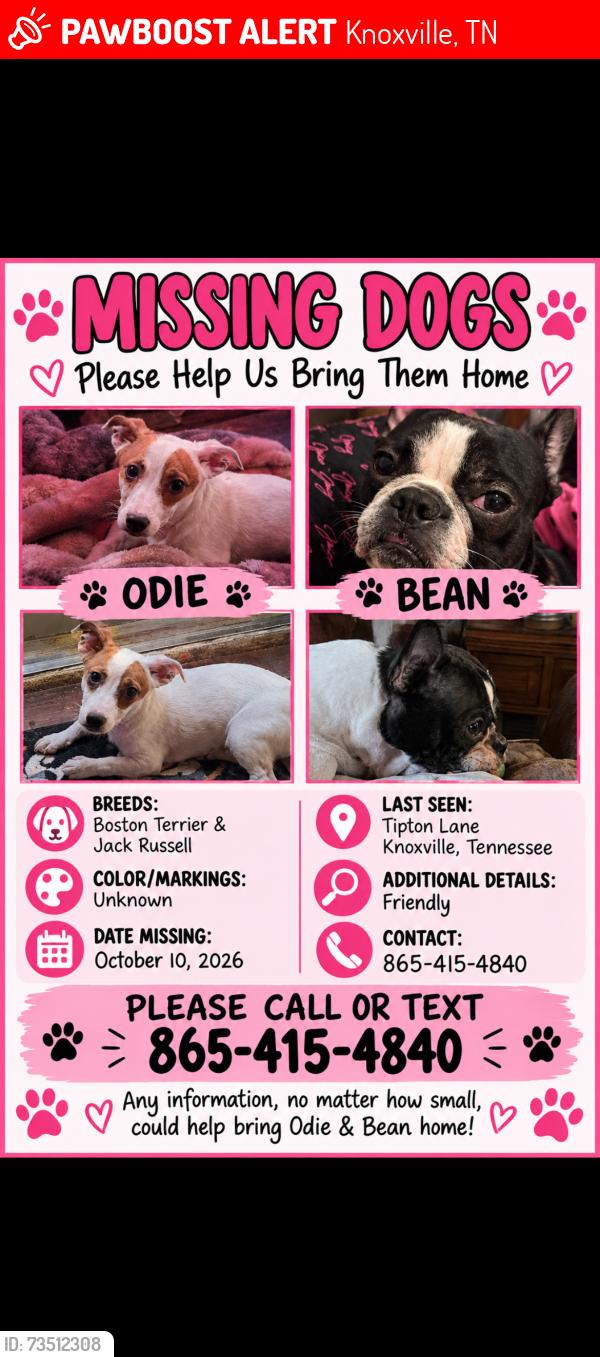 Lost Male Dog last seen Emory road, Knoxville, TN 37918