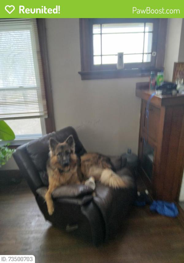 Reunited Male Dog last seen Mikes on central, Toledo, OH 43608