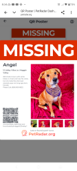 Reunited Female Dog last seen Valley villas lane, Maggie Valley, NC 28751