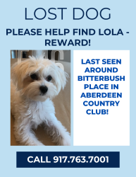 Reunited Female Dog last seen Allspice and La Chalet, Boynton Beach, FL 33472