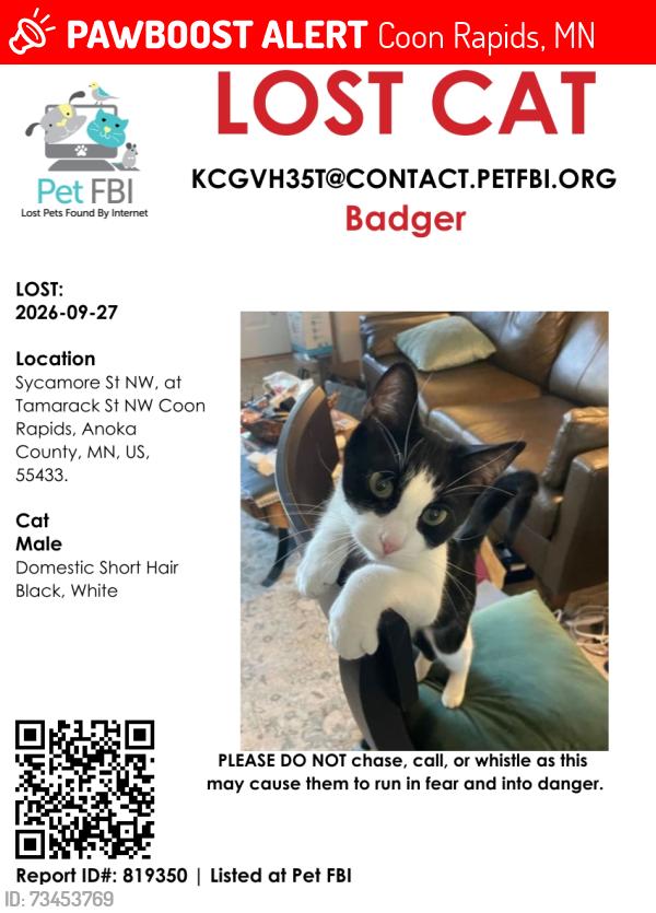 Lost Male Cat last seen Tamarack St and at Sycamore St NW, Coon Rapids, MN 55433