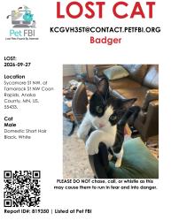 Lost Male Cat last seen Tamarack St and at Sycamore St NW, Coon Rapids, MN 55433