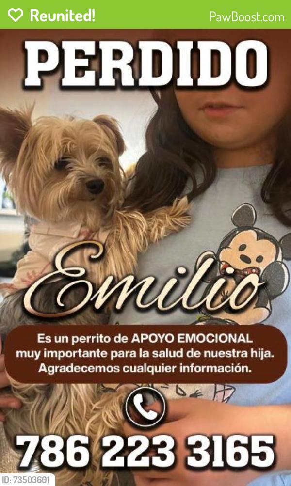 Reunited Male Dog last seen Near nw 50 Ave doral, Doral, FL 33178