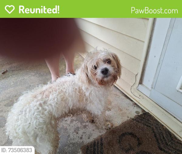 Reunited Unknown Dog last seen 9th and gow, Wichita, KS 67203