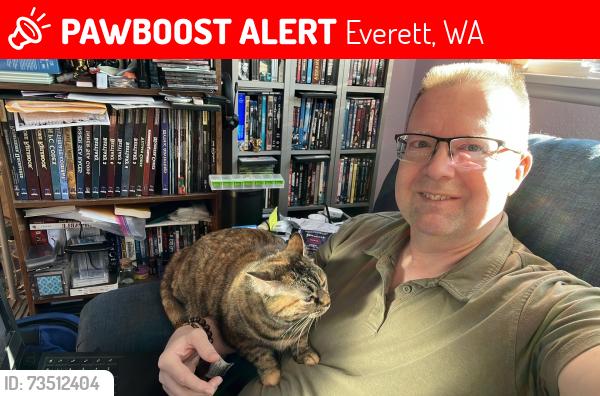 Lost Female Cat last seen Garfield Park -Chestnut Street, Everett WA 98201, Everett, WA 98201