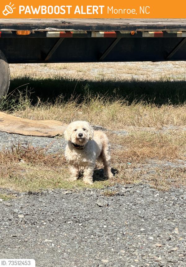 Found/Stray Male Dog last seen Near VINNS truck repair, Monroe, NC 28110