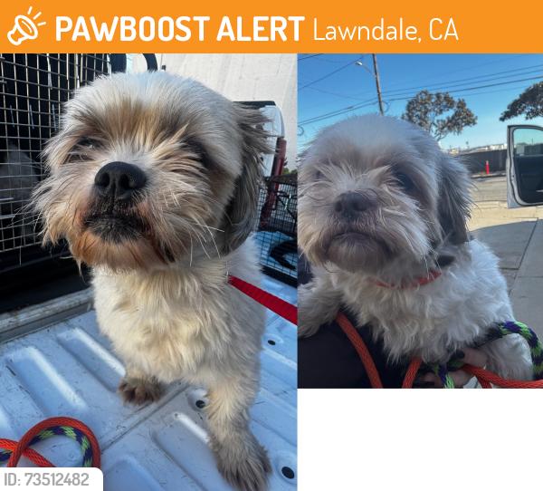Found/Stray Unknown Dog last seen Near block and Mansel Ave, Lawndale, CA 90260