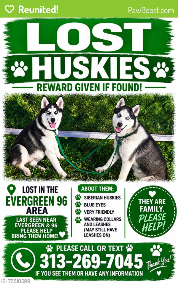 Reunited Male Dog last seen Outerdriver and evergreen, Detroit, MI 48223