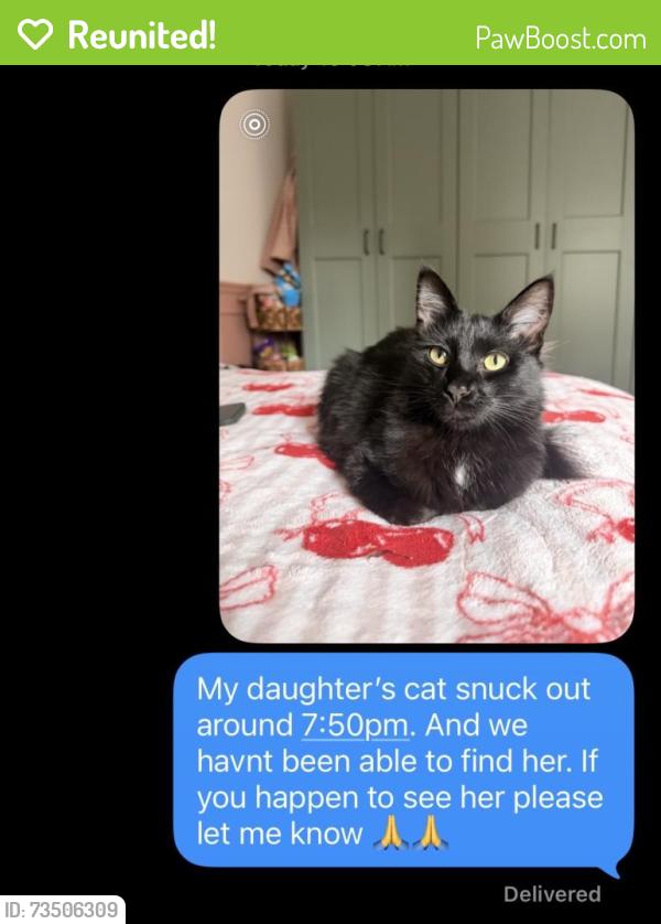 Reunited Female Cat last seen Mendocino and kamm, Kingsburg, CA 93631