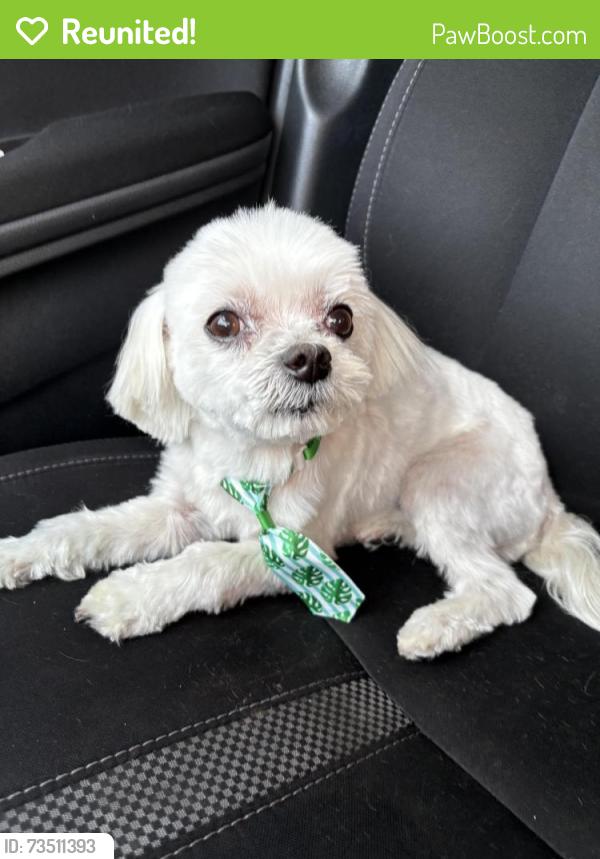 Reunited Male Dog last seen Sonnet dr, Moreno Valley, CA 92557